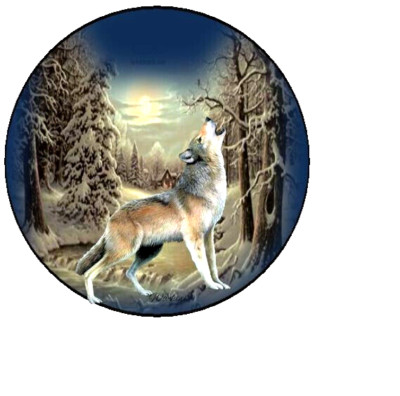 WOLF SNOW FOREST HOWL ART Pendant 925 Sterling Silver 20'' necklace Gold Award