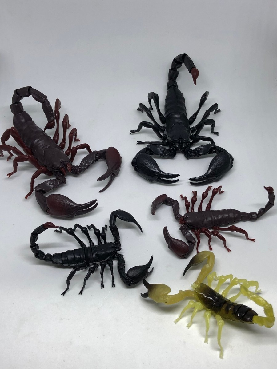 Bandai scorpion capsule set of 5 | eBay