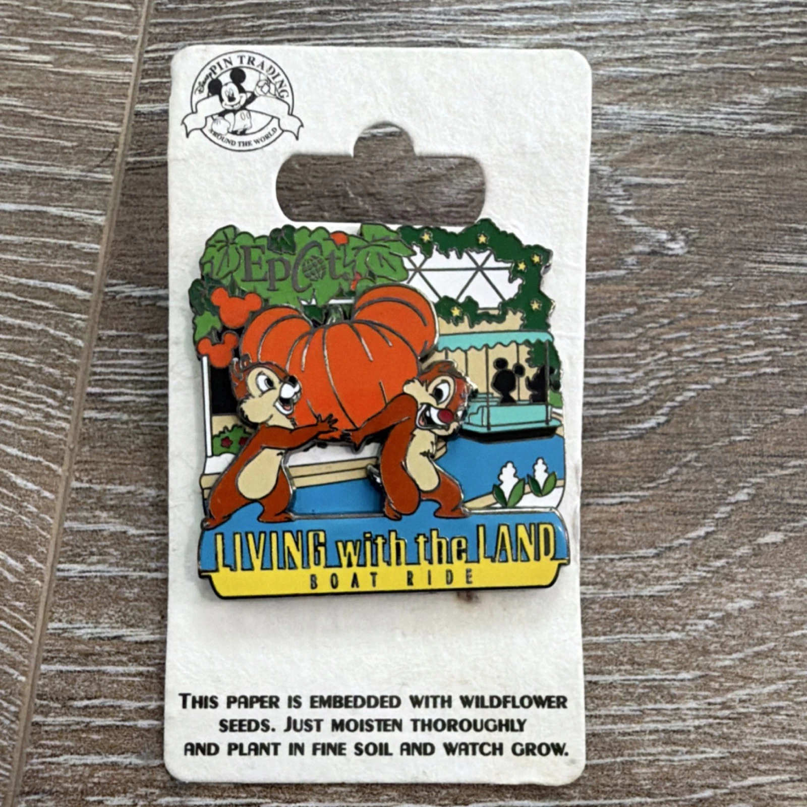 RARE Disney Pin Chip & Dale Living With The Land Epcot Boat Ride Pumpkin ON CARD