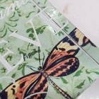 Foto 11 di 24