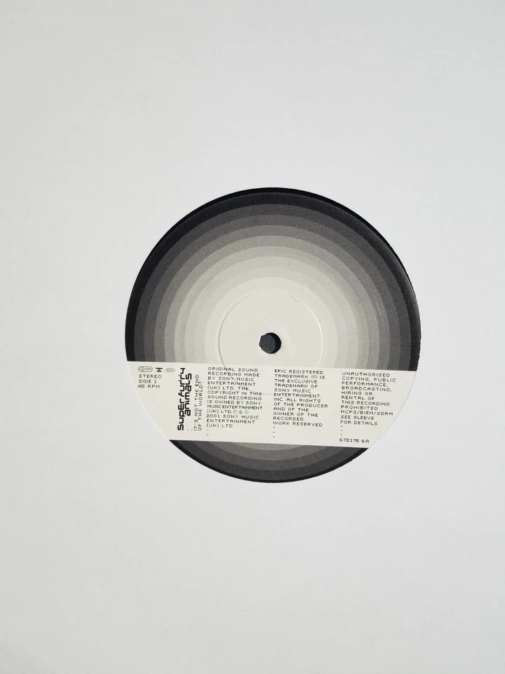 SUPER FURRY ANIMALS It’s Not The End Of World Original UK 12” Out of Print 2002 - Image 4 of 4