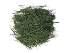 Premium Organic White Pine Needles   1 Pound Air-Dried, Chemical-Free 