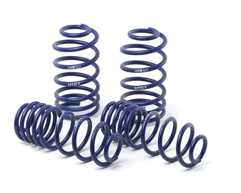 H&R 29738-2 Sport Lowering Springs for 1992-1994 Mercedes-Benz S600 W140 Foto 2 de 2