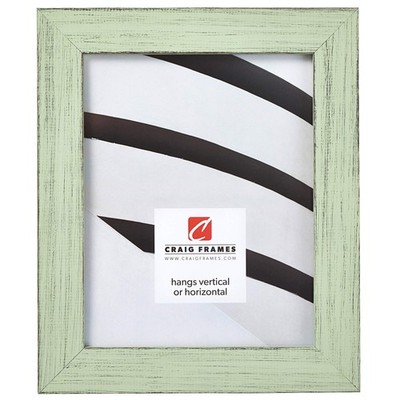 Craig Frames Jasper Picture Frame 8 X 10 Inch Country Mint Julep B9310810