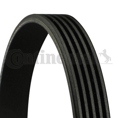 CONTINENTAL CTAM 5PK1815 V-Ribbed Belt for ALPINE,BMW,CHRYSLER,DODGE,HYUNDAI,KIA