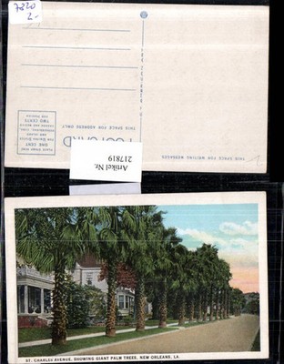 217819,Louisiana New Orleans St Charles Avenue showing Giant Palm Trees Straßena