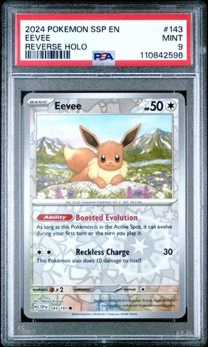PSA 9 MINT Eevee, SV Surging Sparks Pokemon Reverse Holo, 143/191