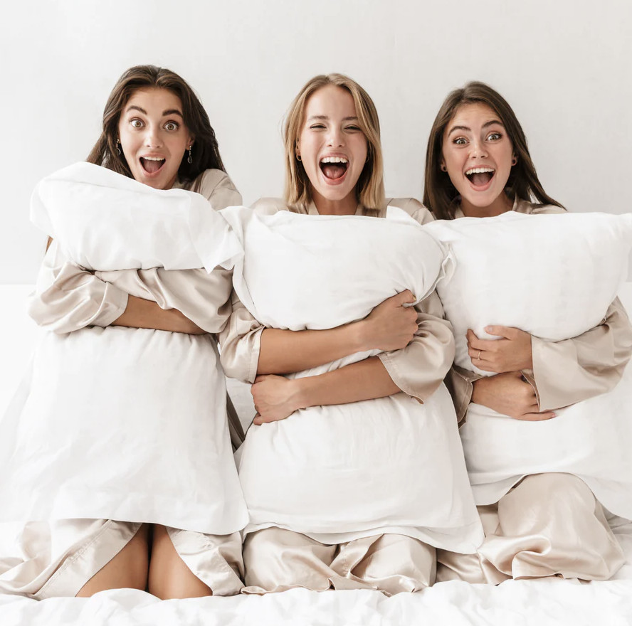 Holiday Inn Regular Shape Soft Down Alternative Pillow-Custo
