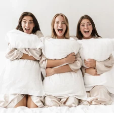 Holiday Inn Regular Shape Soft Down Alternative Pillow-Customer Return Clearance