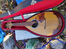 Superb Gorgeous Wood Calace Mandolin 1959 Raffaele Calace With Hard Case