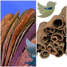 Combo 10 Almond Catappa Leaves And 5 Barks Premium Quality for Betta And Shrimp