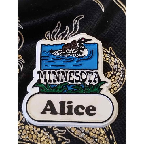 Beautiful vintage Minnesota Alice refrigerator magnet