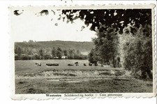 CPA-Carte postale-Belgique Westoutre Coin pittoresque    VM29708