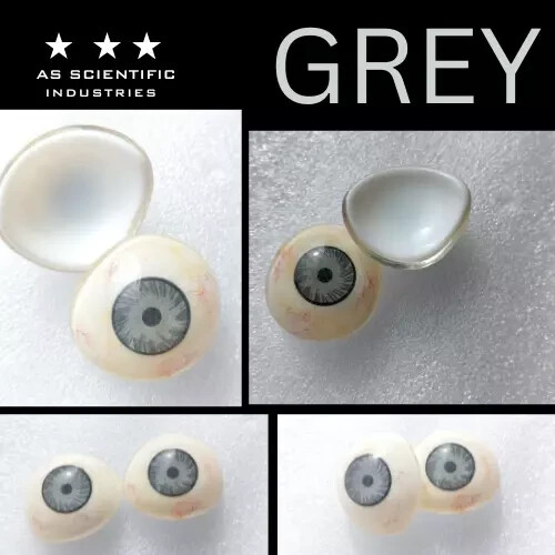 Real Prosthetic Eye Artifical 25 Eyes Mix Color Human Prosthetics With Box - Picture 2 of 8