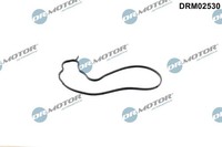 Dr.Motor Automotive Dichtung, Wasserpumpe FüR Bmw