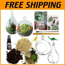Terrarium Starter Set - Moss, Vermiculite, Tools