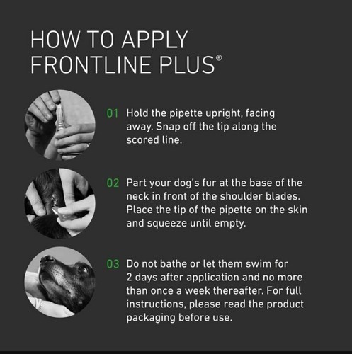 Frontline Plus Flea & Ticks Treatment For Larger Dog 20 - 40kg With 6 Pipettes - Picture 5 of 9