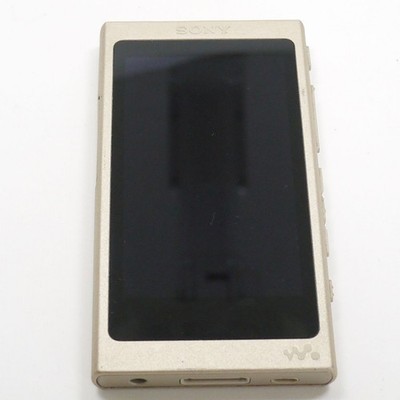 SONY Walkman NW-A45 16GB Hi-Res Audio Music Player JAPAN -TESTED OK  Silver