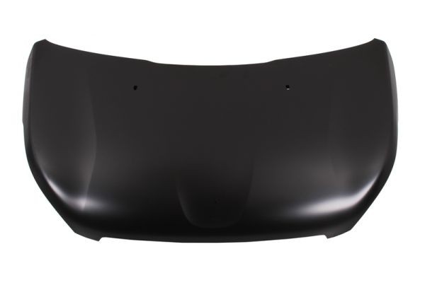BLIC 6803-00-5516280P Bonnet for PEUGEOT