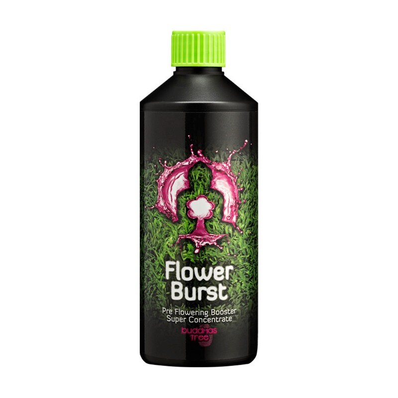 500ml Flower Burst - Buddhas Tree Early Flowering Booster Stimulator