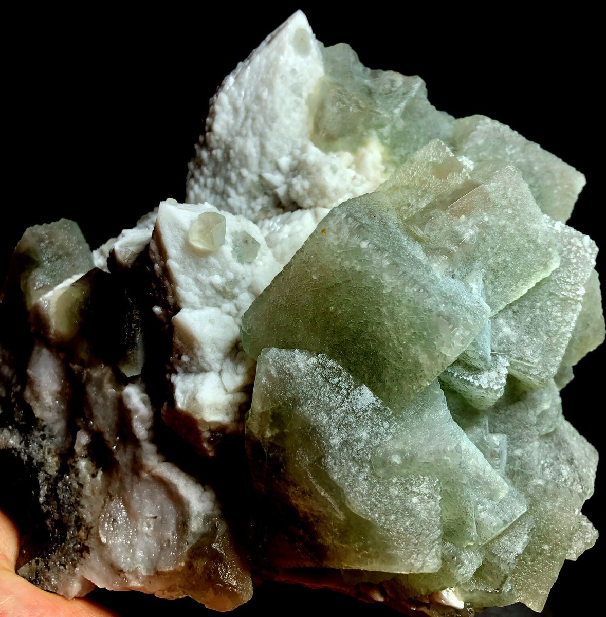 フレキシア ⭐︎cell crystal フレキシア ⭐︎cell crystal Phase shift in skyrmion crystals