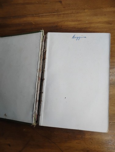 The Woman-Haters Joseph C. Lincoln 1911 Antique Book - Imagen 4 de 7