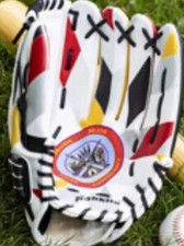 Minnesota Twins Native American Heritage Night Glove 12.5” Dakota New
