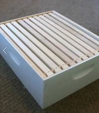 Medium Honey Super Box Painted with 10 Frames & Foundations, 6 5/8" Mann Lake