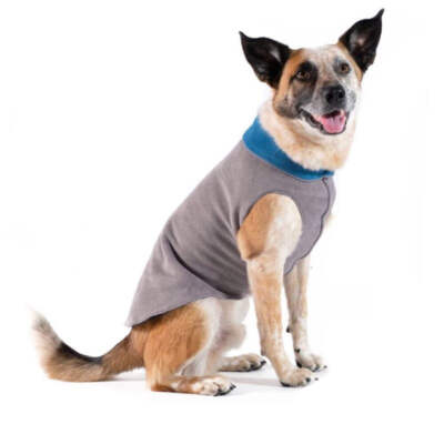 Hundepullover Goldpaw Double Stretch Fleece Grau/Petrol