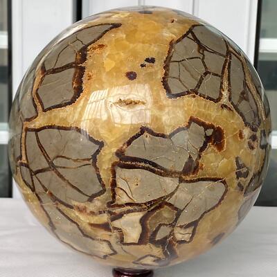 11900G Natural Turtle Back stone dragon crystal ball quartz mineral healing