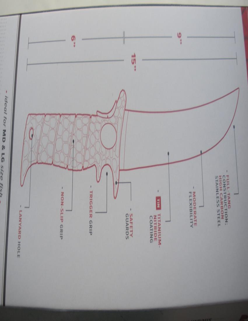Picture 6 of 6