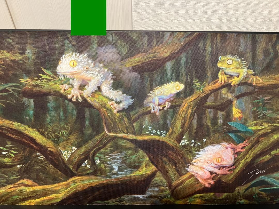 MTGプレイマット　Spore Frog Family MTGプレイマットSpore Frog Family