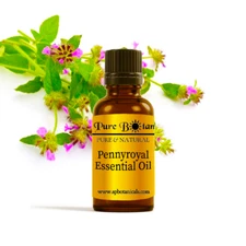 Pennyroyal Essential Oil - 100% PURE NATURAL - Sizes 3ml to 8oz - Aromatherapy