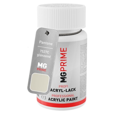 Pantone 7527C Light Grey glänzend Lackstift 50 ml schnelltrocknend