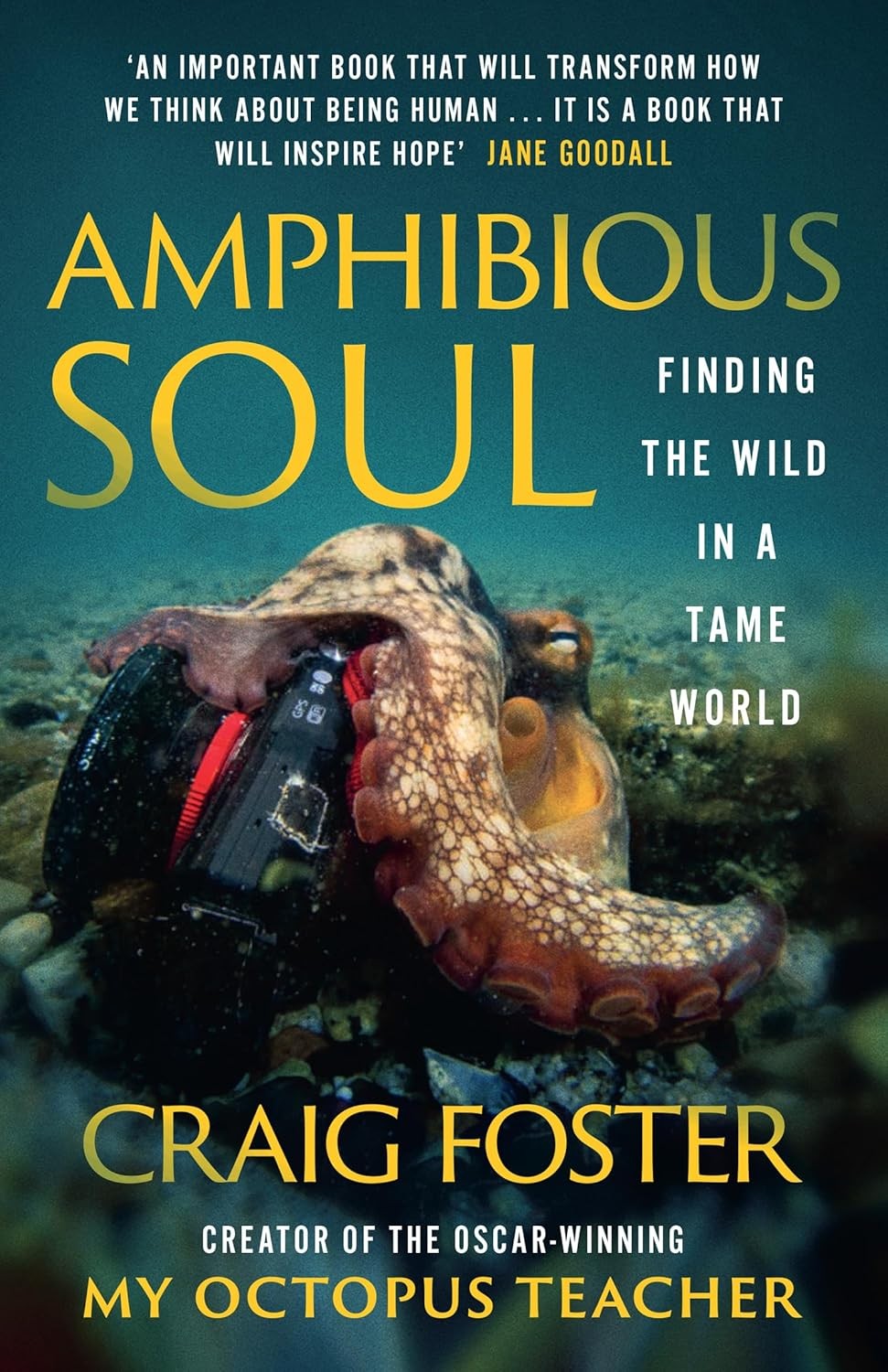 Amphibious Soul: Finding the wild in a tame world [paperback] Foster, Craig [Apr