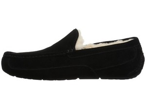 ascot suede slipper ugg