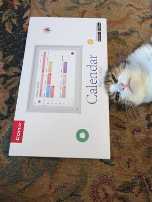 10.1in Digital Smart Calendar Touch Screen Family Organizer Chore Chart App Sync