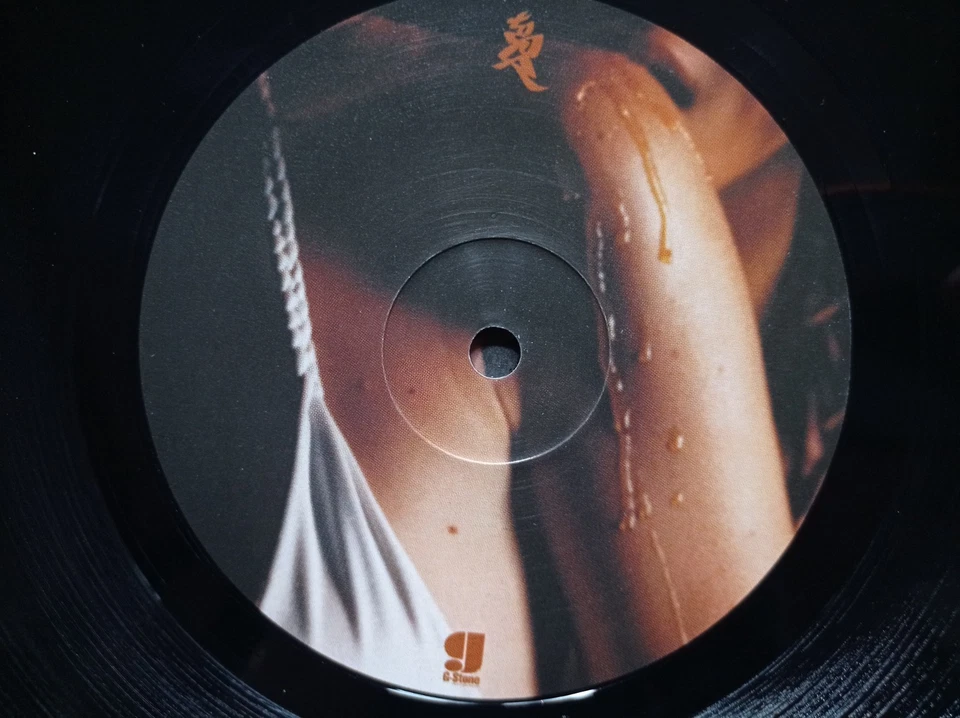 2XM45T+2XLP 33T TOSCA "Different Tastes Of Honey" G-stone 018 12" AUTRICHE 2002° - Photo 4/4