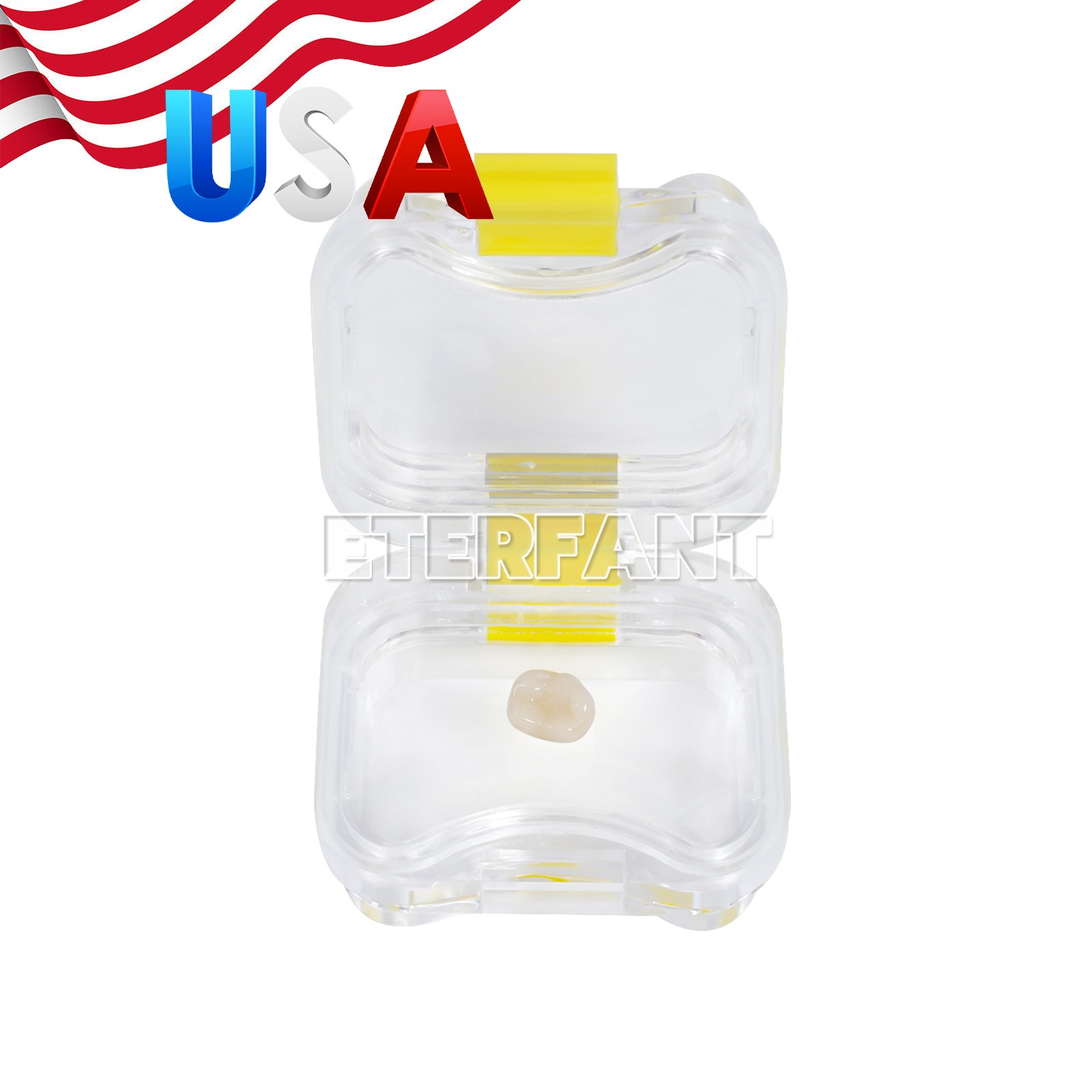 Dental Lab Crown/Bridge Boxes Storage Display Box with Membrane/Sponge Fillers