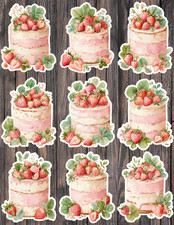 Strawberry Cake Die Cut Vinyl Stickers Set Scrapbooking Laptop Waterbottle