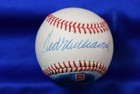 Ted Williams PSA DNA Autograph American League Hand Painted Baseball Signed
