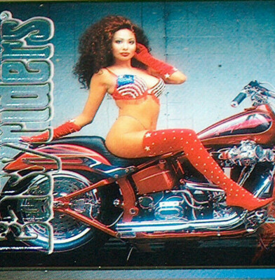 Easyriders S1 #14 Harley Davidson Motorrad 1989 Evo HD Jim Thompson 80 Ci Karten