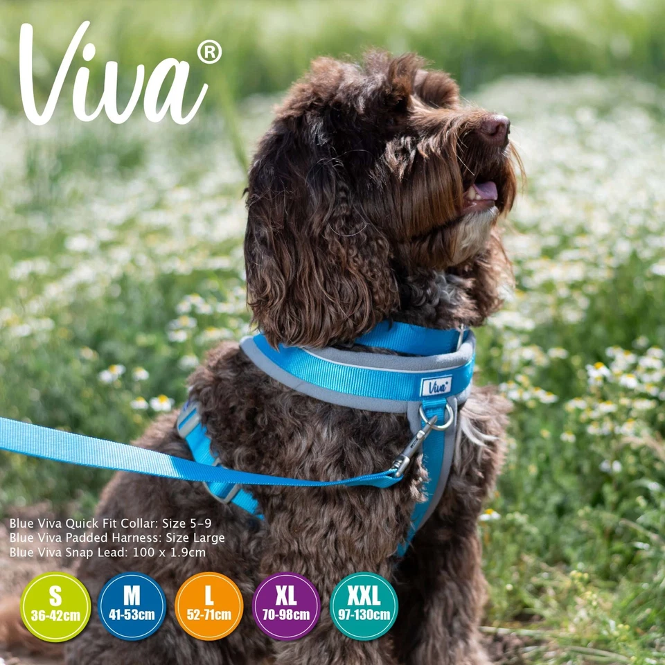 Arnés acolchado para perros - azul. Mediana (41cm - 53cm). Foto 3 de 4