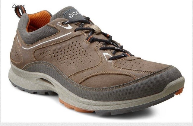 ecco performance terrain