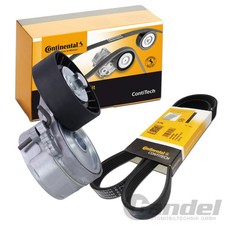CONTINENTAL CTAM KEILRIPPENRIEMEN-SATZ passend für CITROËN C4 C5 C8 JUMPY FIAT