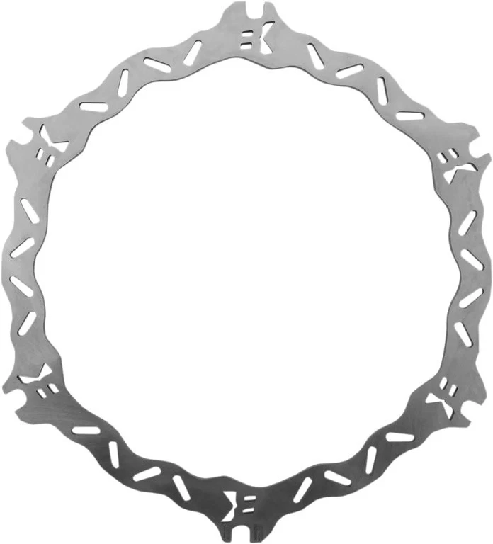 Rotor delantero de frenado sin herrajes de montaje, modelos XB 1125 BL02FID 79-5400 Foto 3 de 4