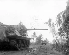 M10 Wolverine 77th Infantry Division Leyte World War II WWII WW2 8x10 Photo 927c