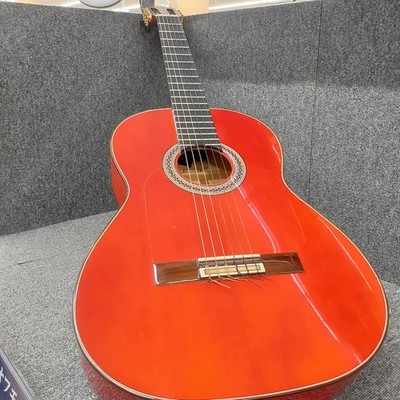 ESTEVE GIPSY KINGS BY ANDRE REYES Flamenco Guitar Made in Spain Hard Case JP