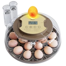 Incubadora De Huevos Automatica Encubadora Gallina Pato Control De Humedad