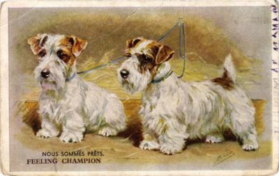 CPA AK Nous sommes préts feeling champion DOGS (727487)